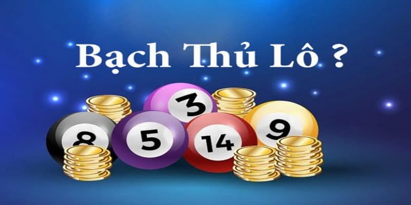 Cách bắt bạch thủ lô khái niệm