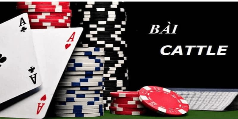 Cách chơi bài Catte sơ lược