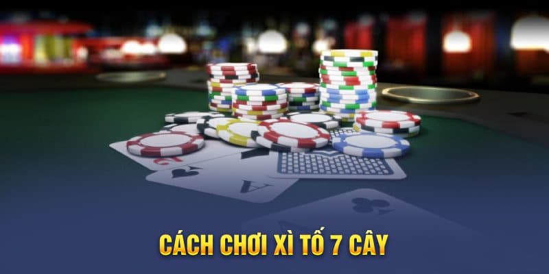 Cách chơi xì tố 7 cây hiểu rõ bộ bài