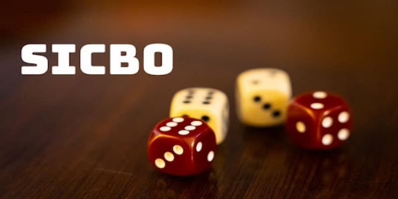 Tài xỉu Sicbo về lý do nên chọn tại BK8?