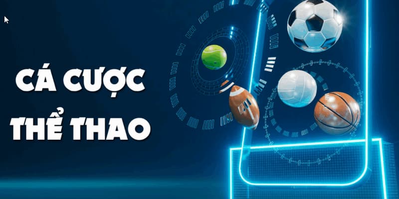 Cá cược thể thao hiểu đúng tại BK8