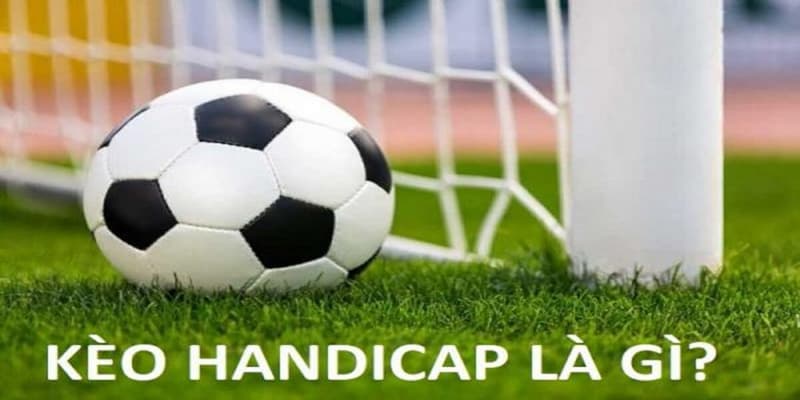 Kèo Handicap BK8 chiến thuật chơi