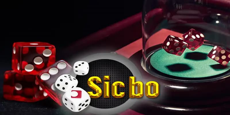 Nhà cái Sicbo chơi miễn phí